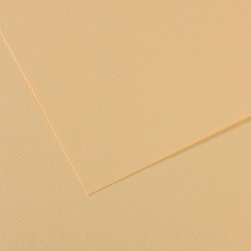 Papier Canson Ingres Vidalon - Lot De 25 Feuilles 50x65 Cm - Grammage 100 G/m² - Couleur Lichen
